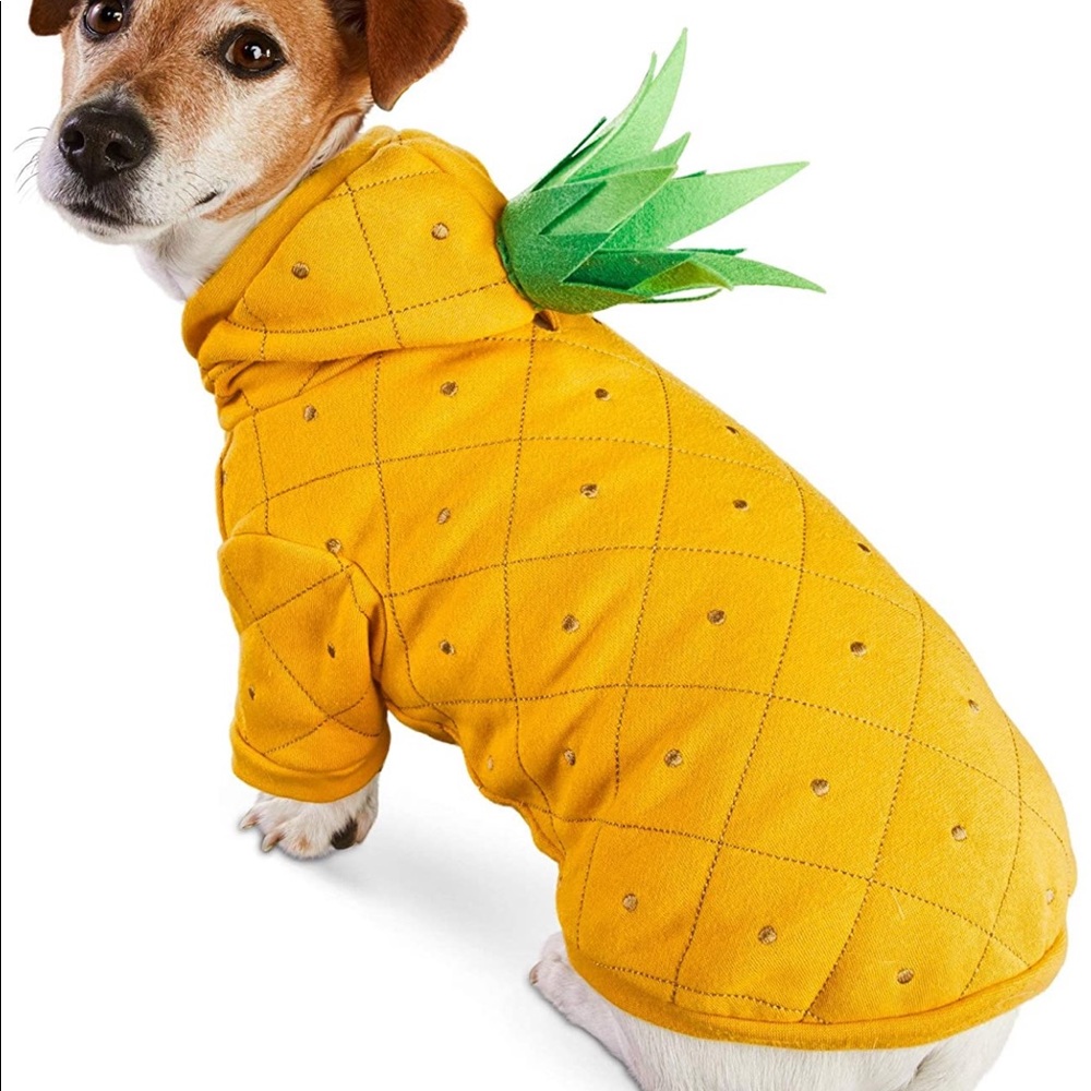HP 2X π PINEAPPLE π PiΓ±a Colada DOG costume XS dress up - Picture 1 of 6